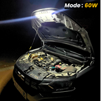 Proteggi il tuo cane con una difesa naturale costante da zecche, pulci e pappataci | 12 mesi di Protezione Assicurata